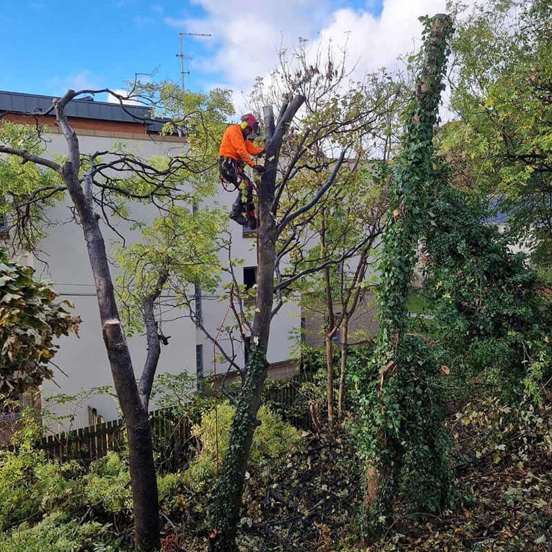 Rope Access Scotland