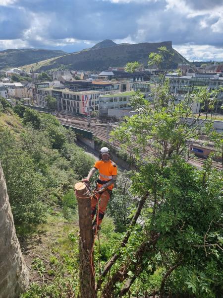 Waverley, Edinburgh - Rope Access De-Vegetation Works Gallery Main Photo