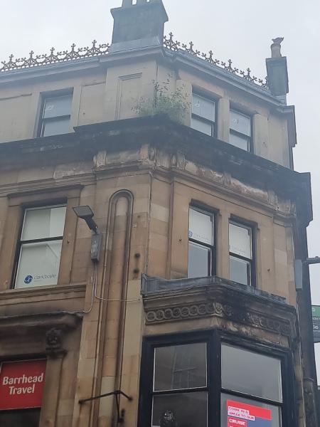 Glasgow City Centre - Vegetation Removal Gallery Main Photo